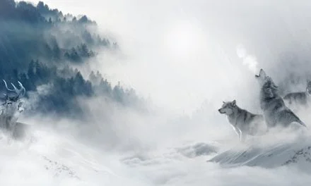 All the Wolves Are Coming to Dinner by Terry Miller